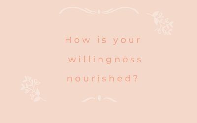 Nourishment