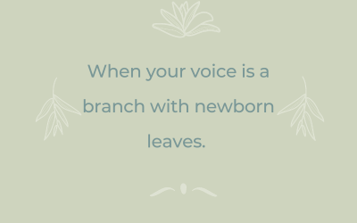 Newborn leaves