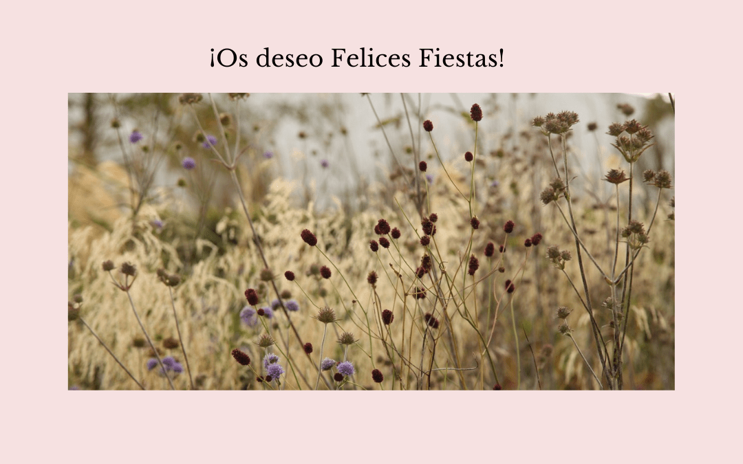 ¡Felices Fiestas!