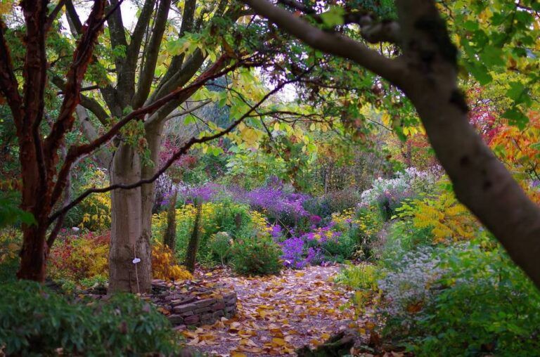 ¡Bienvenido otoño!