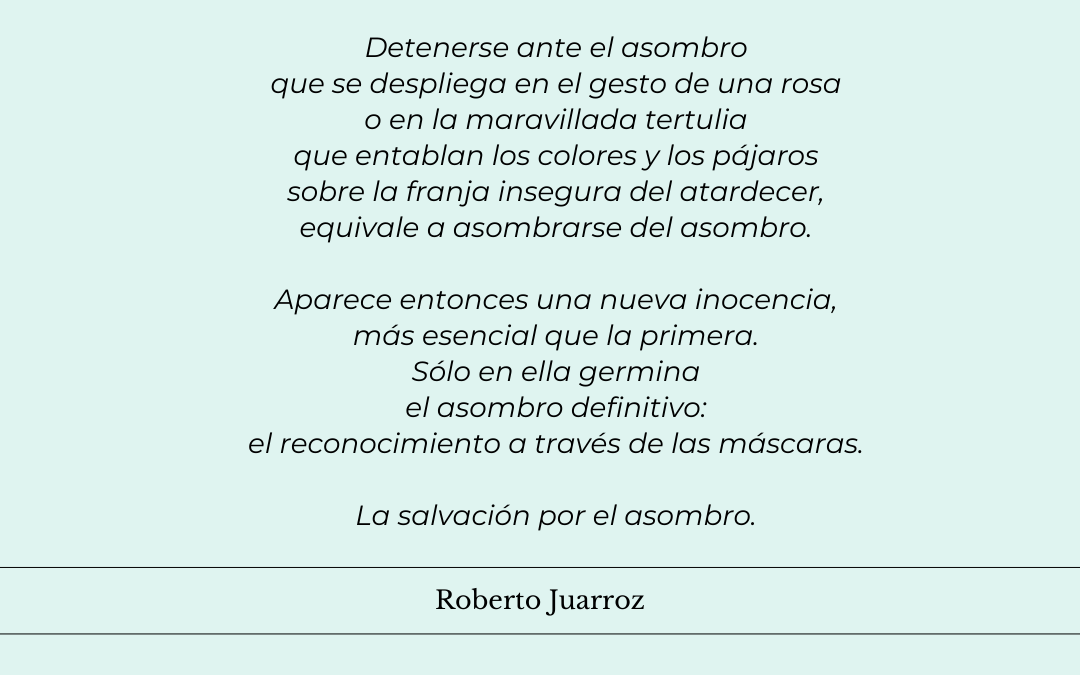 «Detenerse ante el asombro…»