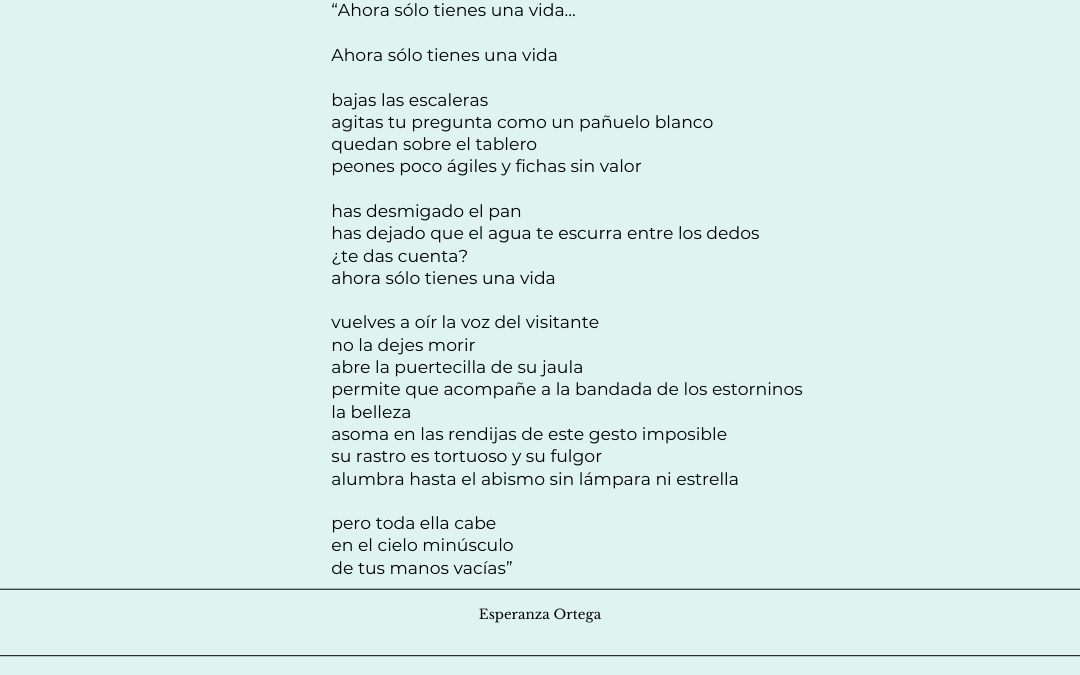 Ahora solo tienes una vida…