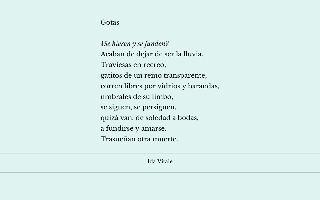 Gotas…