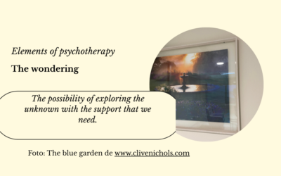 Elements of psychotherapy…