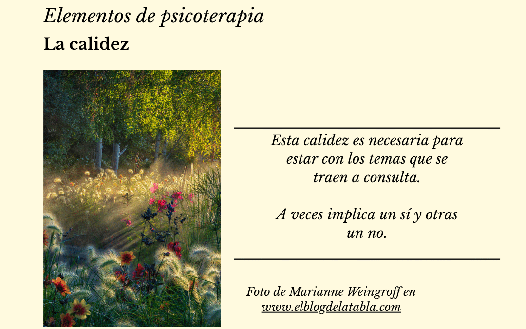 Elementos de psicoterapia: la calidez…