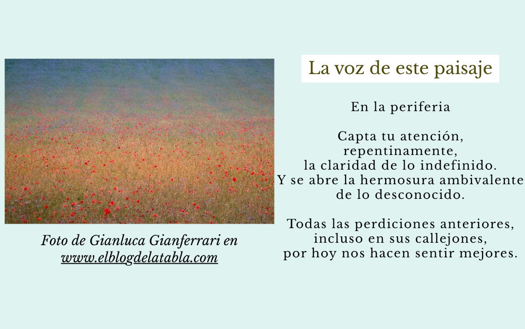La voz de este paisaje…