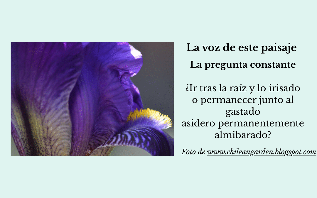 La voz de este paisaje…