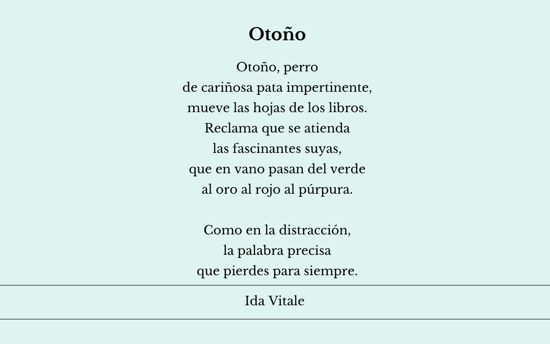 Otoño…