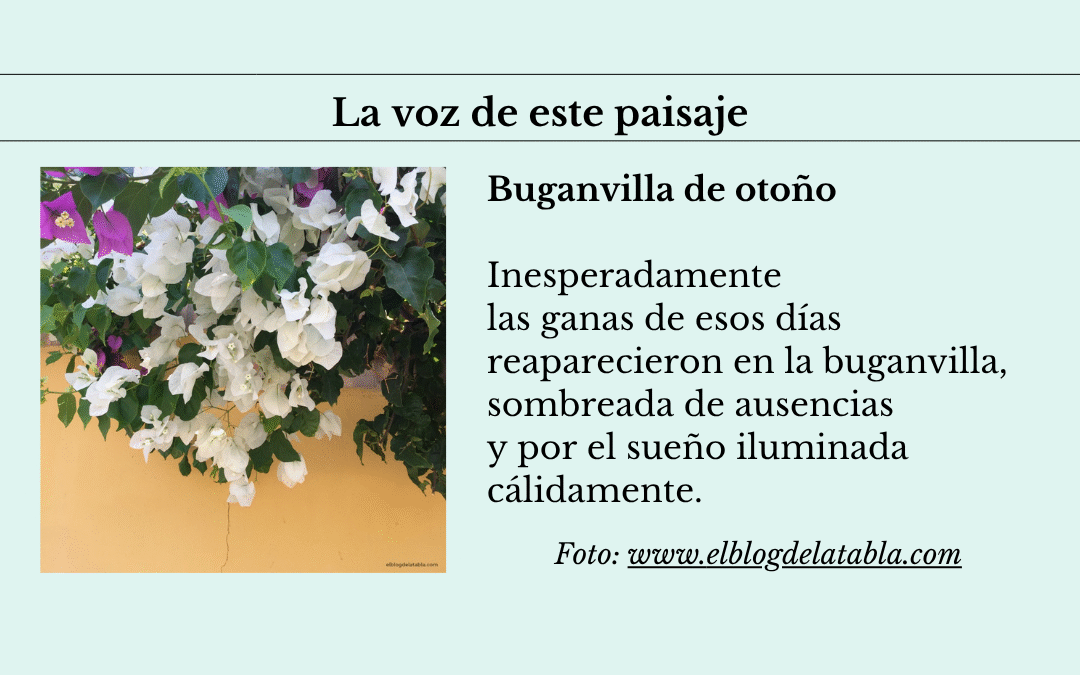 La voz de este paisaje…