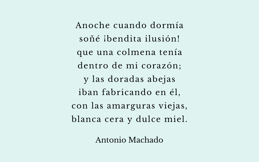 Anoche cuando dormía…