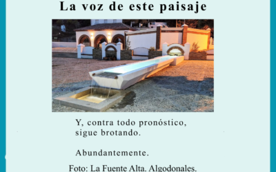 La voz de este paisaje…